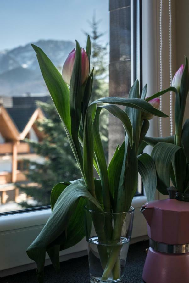 5 Krokow * Zakopane